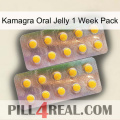 Kamagra Oral Jelly 1 Week Pack new10